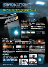 NEW_NOAH_VOXY_catalog